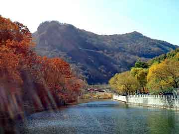 管家婆黑白马报图库，国家节能补贴